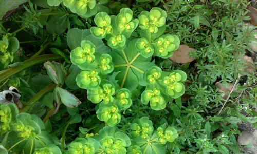 ͻƣйͱ׼ֱ7.7%11.3%